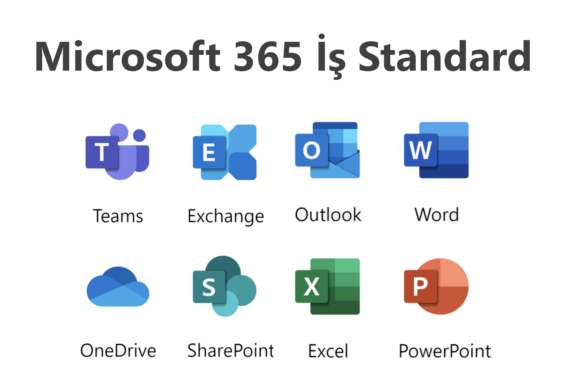 Microsoft 365 Business Standard ile İşinizi Büyütün